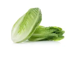 خس بلدي