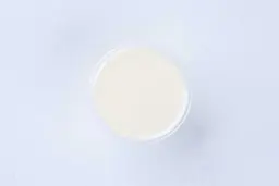 Yogurt Mayo Dressing
