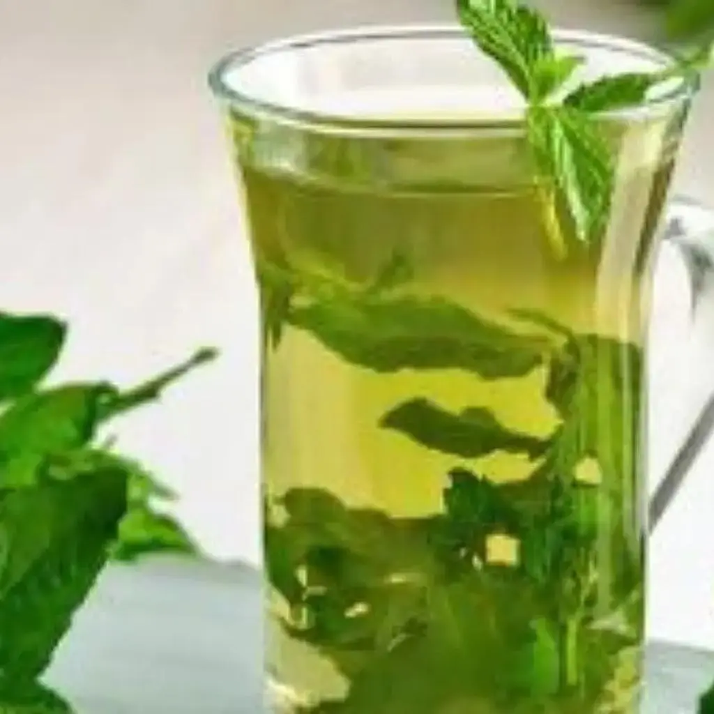 نعناع