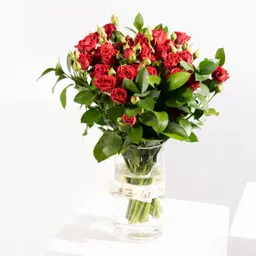 Mini Red Garden Vase