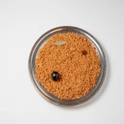 أرز أحمر