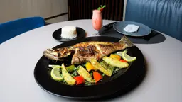 Shaka Healthy Person oven