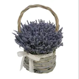 A Bouquet of Natural Flowers
