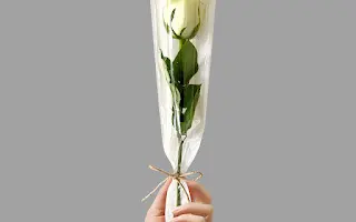 White rose