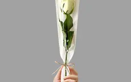 White rose