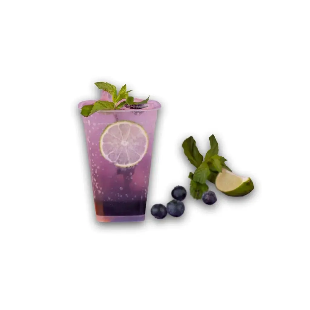 Blueberry Mojito