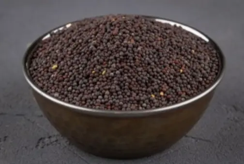 Seed Mustard R199
