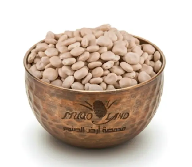 Bitter Lupine R38