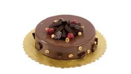 Chocolate Curls Cake