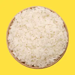 رز ابيض
