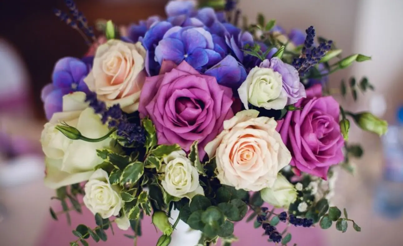 Violet Flower