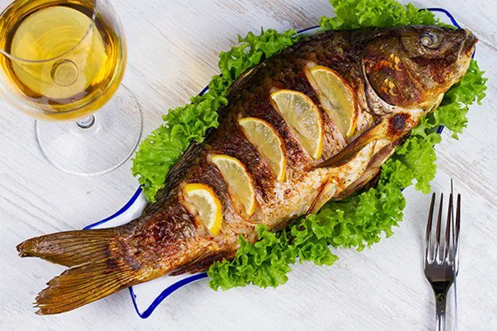 Tilapia