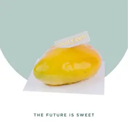 Mango Slice