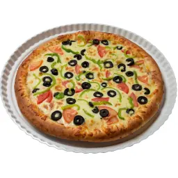 Vegetable Pizza with Liquid Cheese