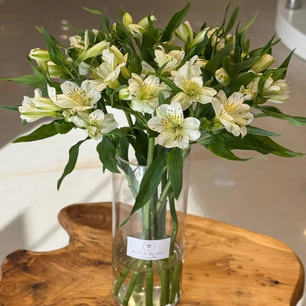 White Elastomeria Vase