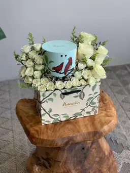Anoush chocolate coordination