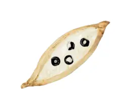 لبنة مع زيتون