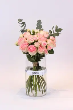 مشاعر