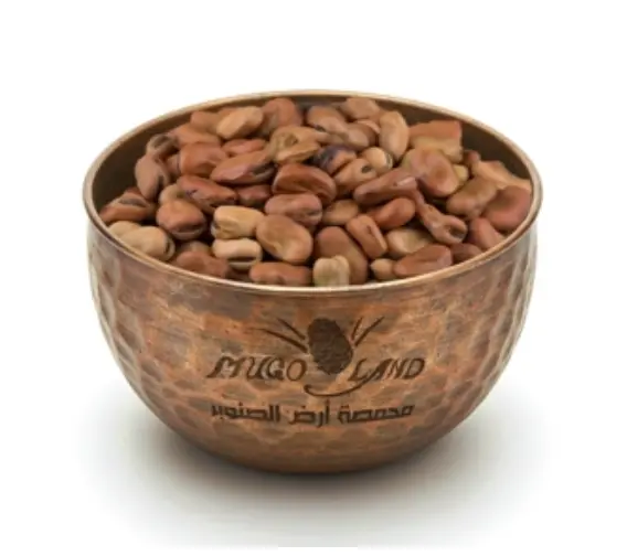 Egyptian Bean R94