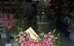 بيرنا