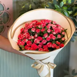 بوكيه بيبي جوري