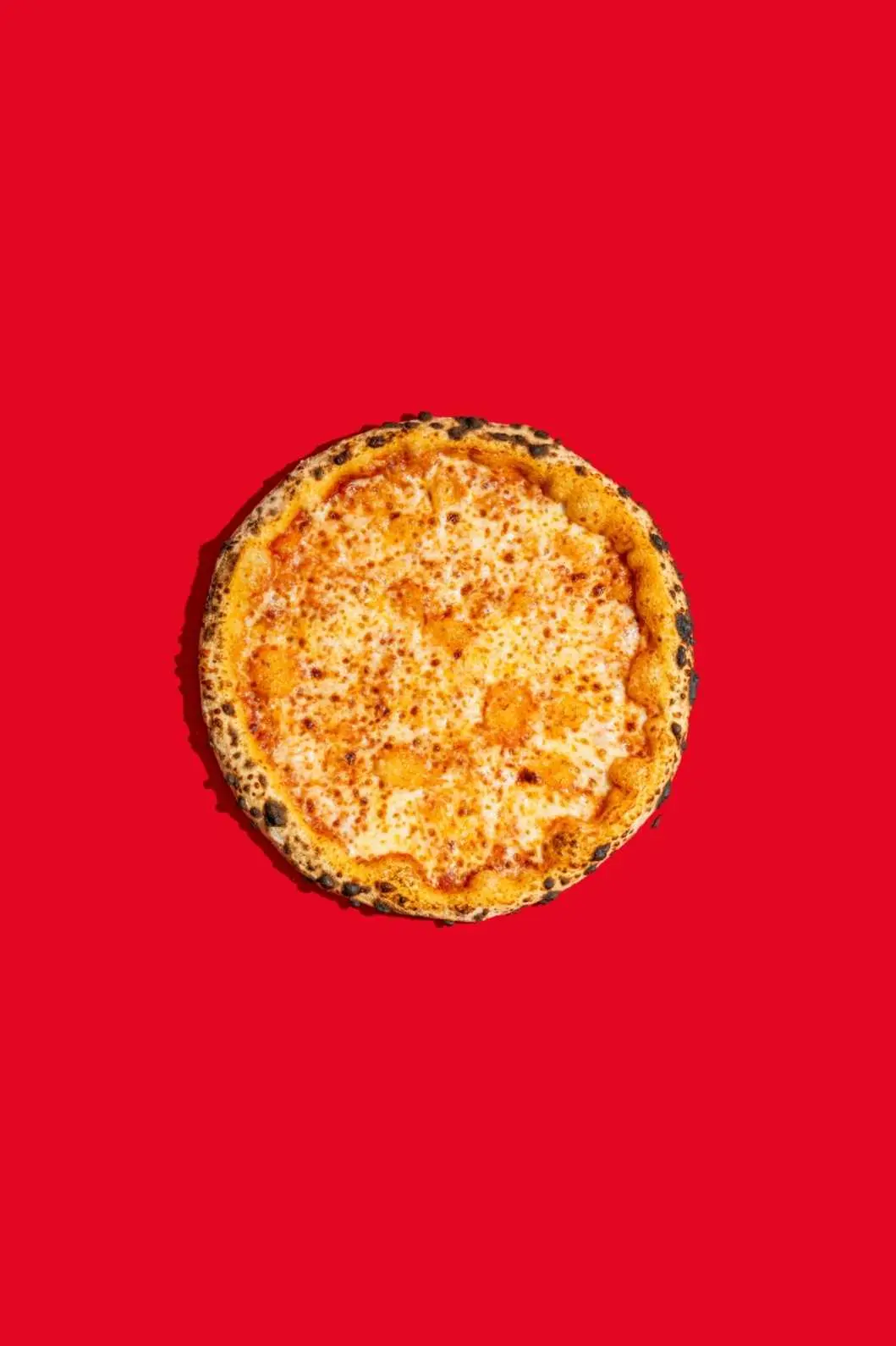 Margherita pizza