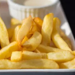 French Fries Plate