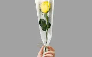 Yellow rose