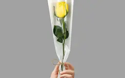 Yellow rose