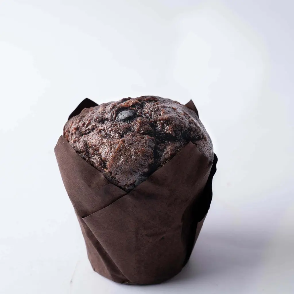 Chocolate Muffin