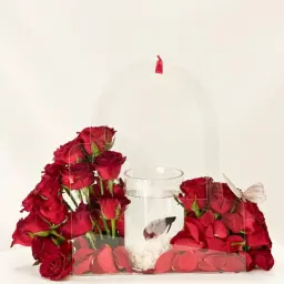 مياس
