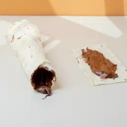 نوتيلا