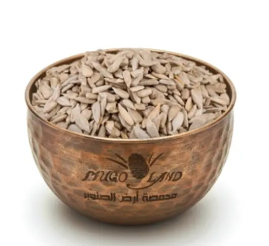 Raw Sunflower Pulp R31