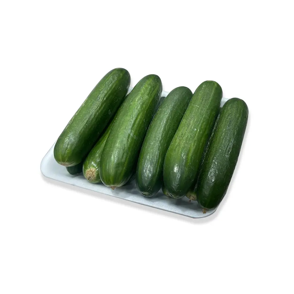 Cucumber