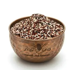Colored Quinoa R679