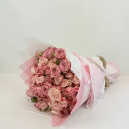 همسة 2
