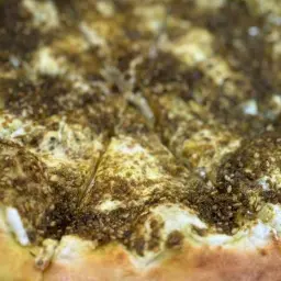 لبنة مع زعتر