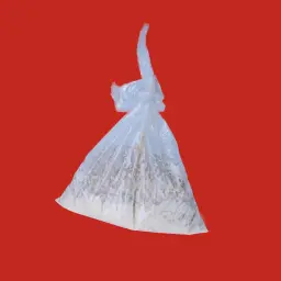 Masoub Bag