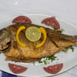 دنيس مقلي