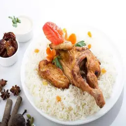 دجاج مظبي