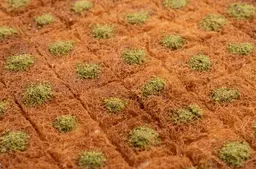 Usmalliah With Cream