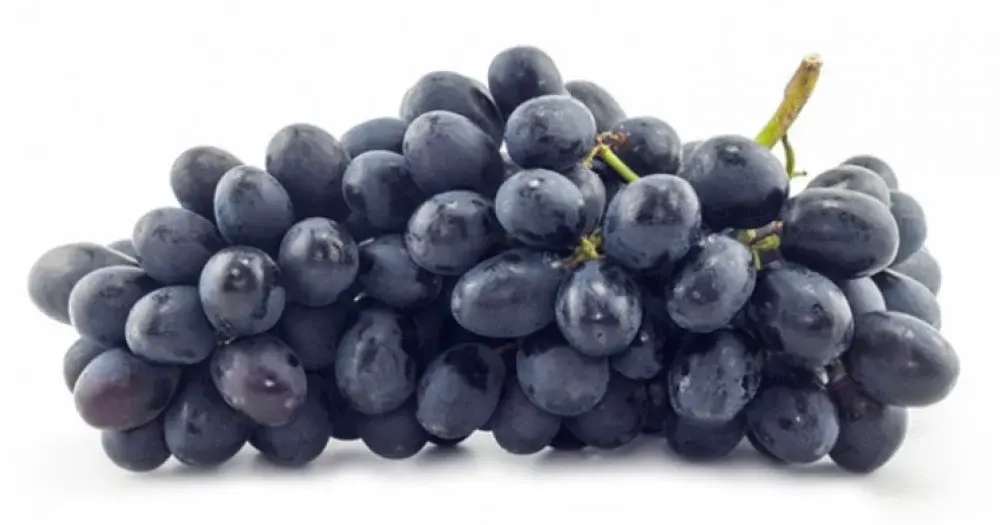 Black grapes