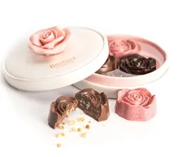 Bustani Chocolate 2