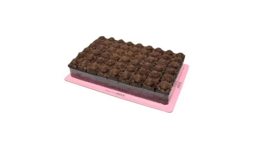 Chocolate  Bites