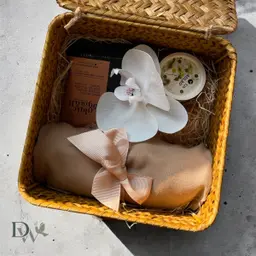 هدية الشتاء - شتاء دالين