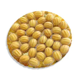 عين الجمل