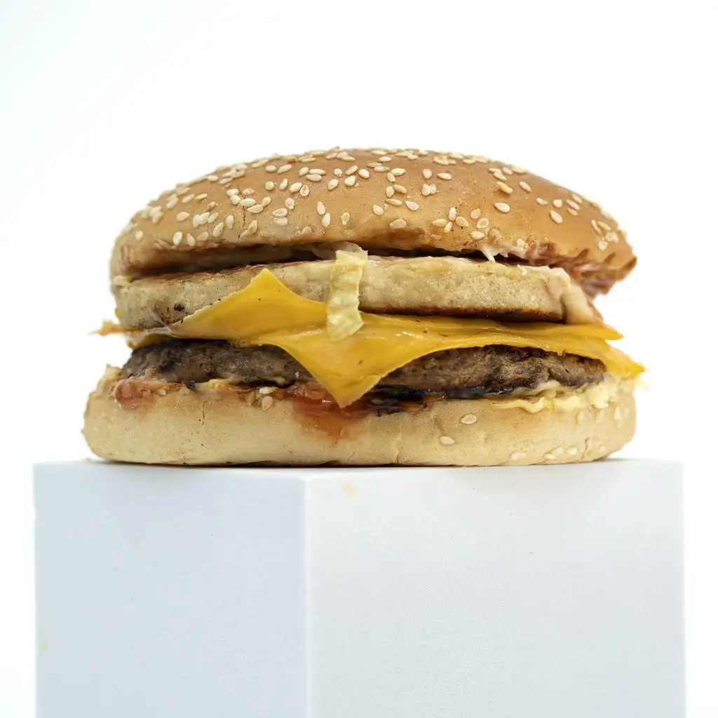 Double Chicken Burger