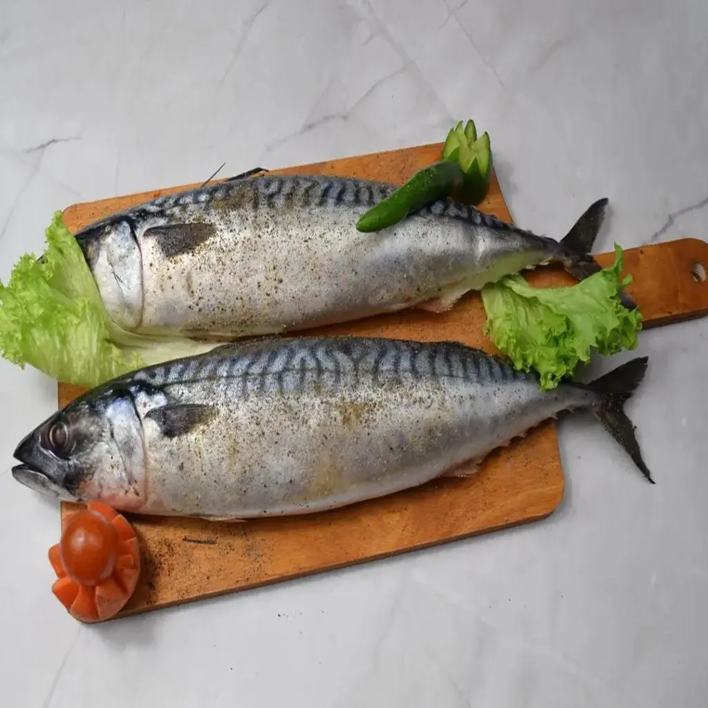 صينية ماكريل