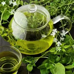 شاي اخضر مع نعناع