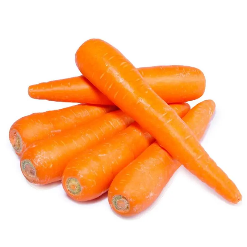 carrot